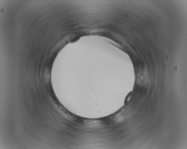 X0000062600476200601181609