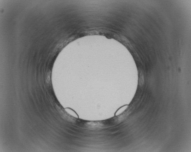 X0000062600477200601181609