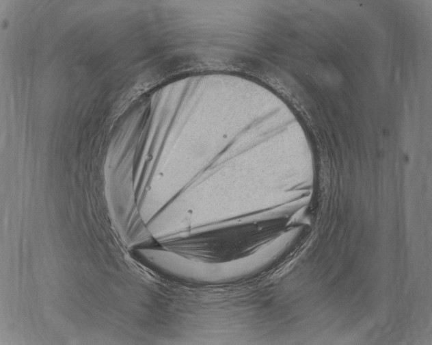 X0000062600481200601181608
