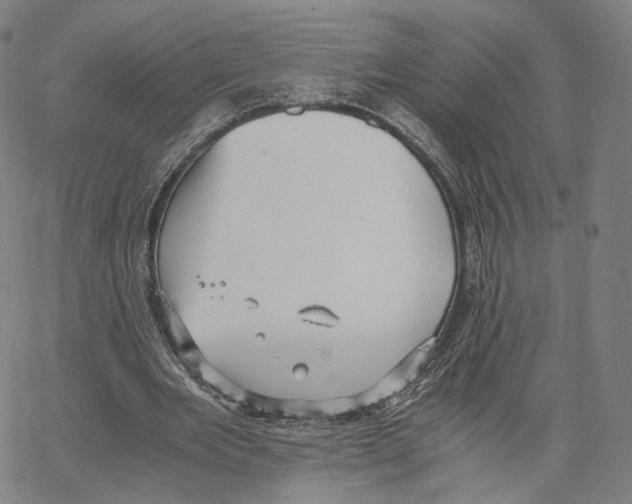 X0000062600485200601181608