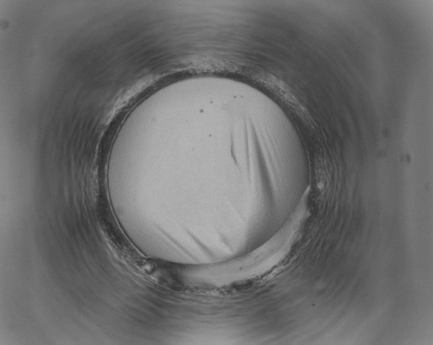 X0000062600488200601181608