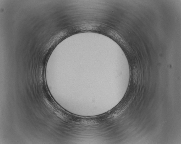 X0000062600490200601181608