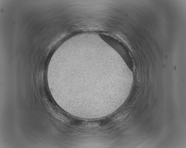 X0000062600491200601181608