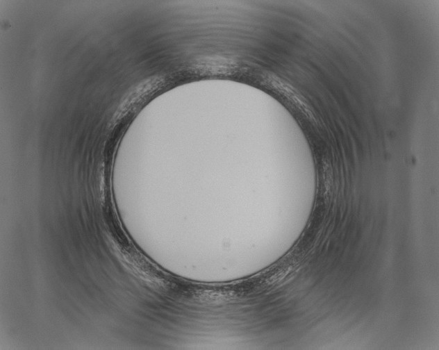 X0000062600494200601181608