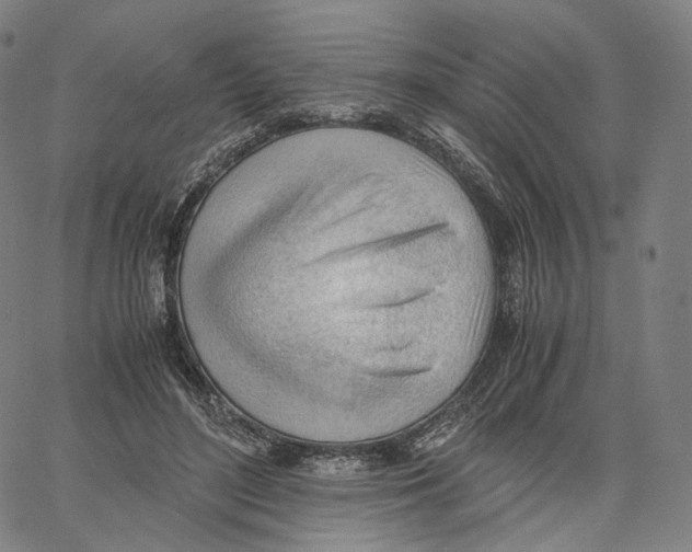 X0000062600500200601181608