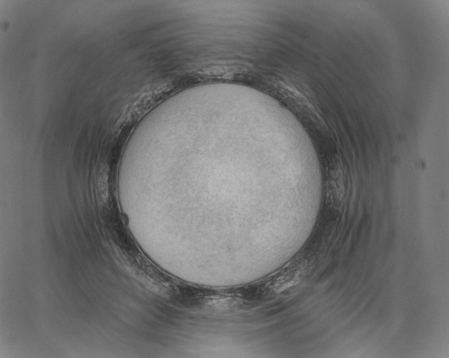 X0000062600504200601181608