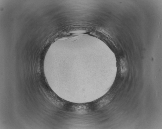 X0000062600512200601181608