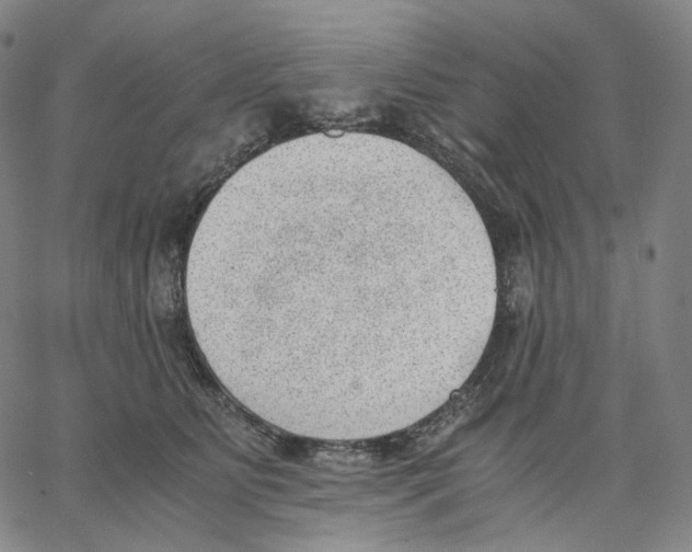 X0000062600515200601181608