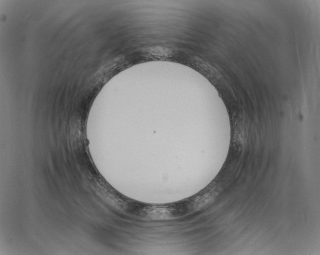 X0000062600518200601181608