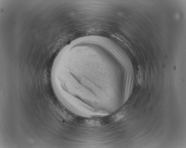 X0000062600520200601181607