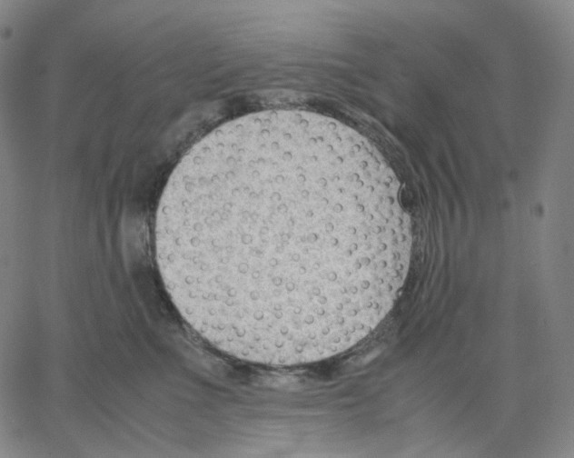 X0000062600523200601181607