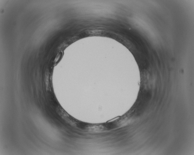 X0000062600525200601181607