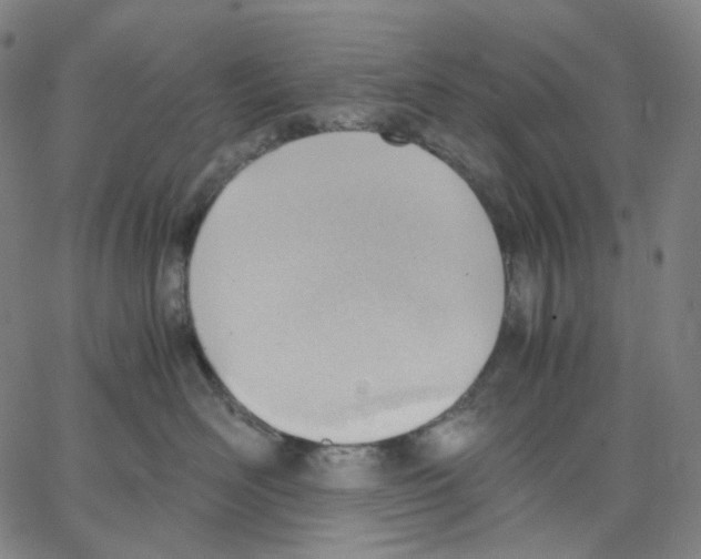 X0000062600526200601181607