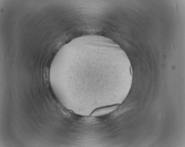 X0000062600528200601181607