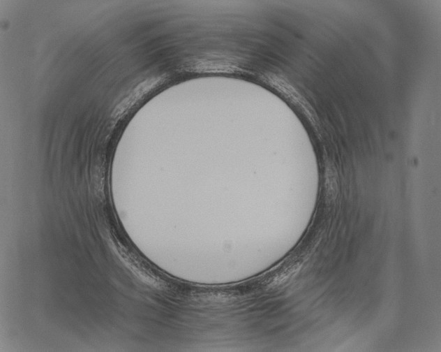 X0000062600533200601181607