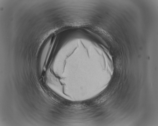 X0000062600540200601181607