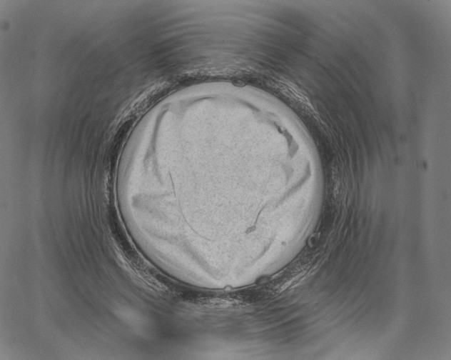 X0000062600542200601181607