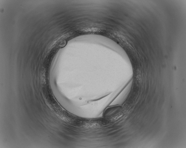 X0000062600547200601181607