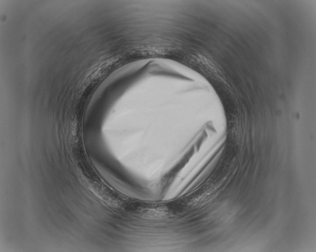 X0000062600548200601181607