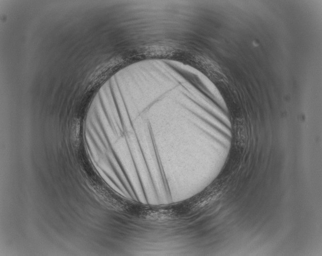 X0000062600550200601181607