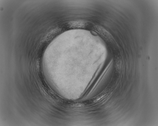 X0000062600551200601181607