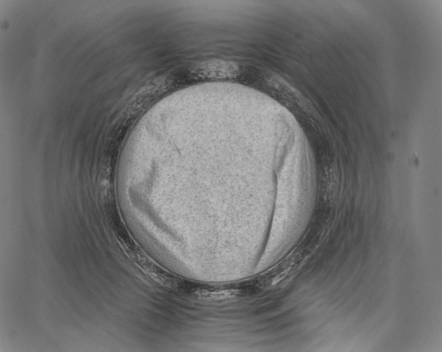 X0000062600553200601181607