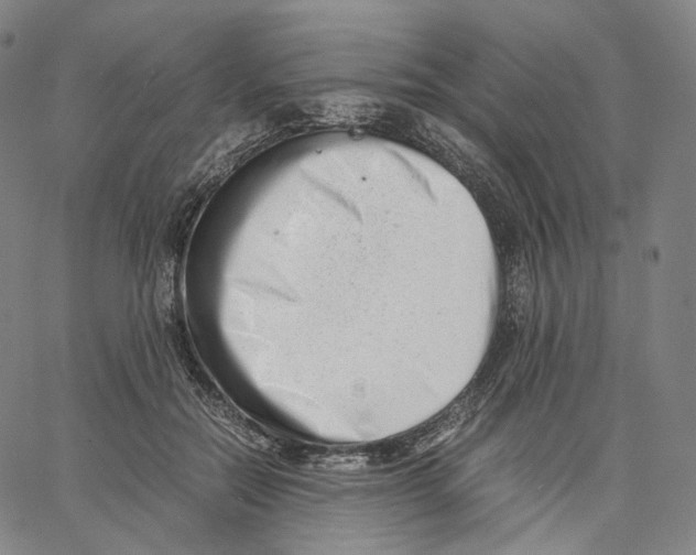 X0000062600554200601181607