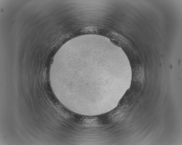 X0000062600560200601181607