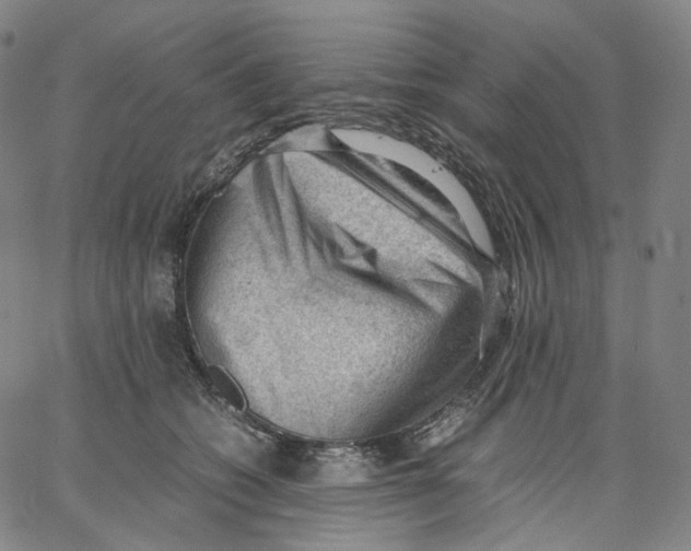 X0000062600562200601181607