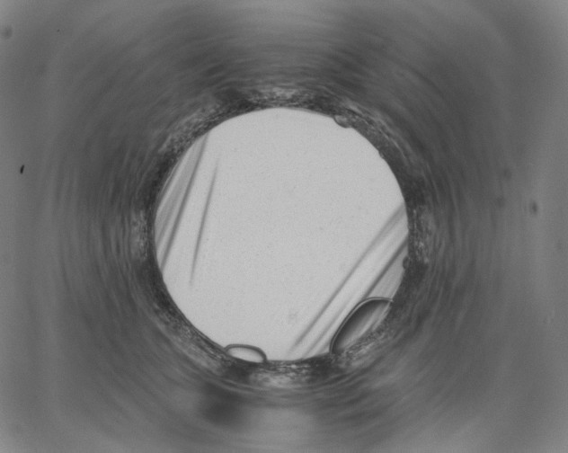 X0000062600563200601181607
