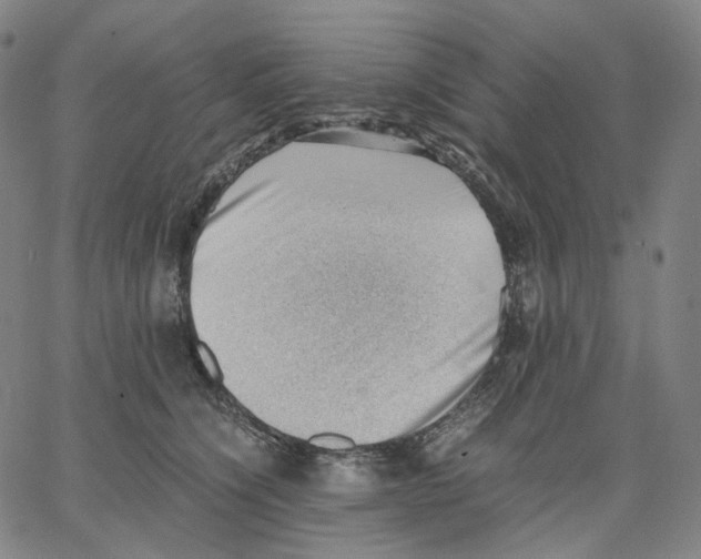 X0000062600564200601181607
