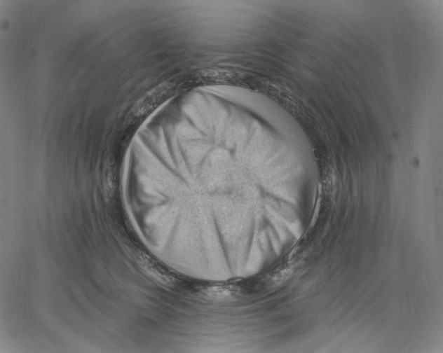 X0000062600566200601181607
