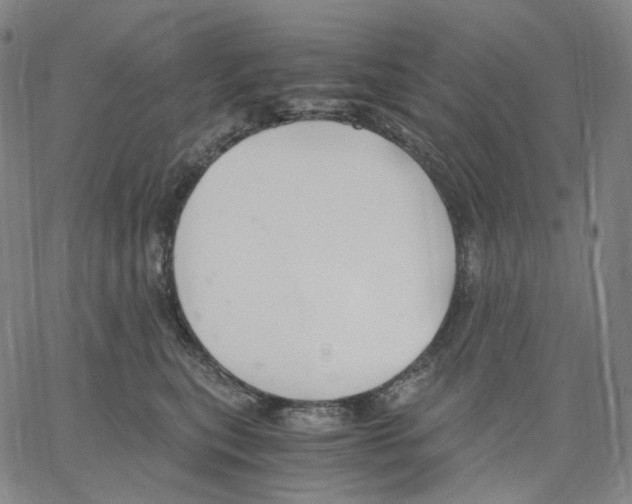 X0000062600567200601181607