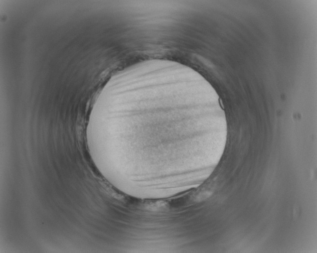 X0000062600576200601181607