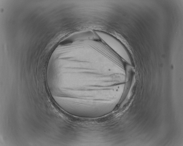 X0000062600577200601181607