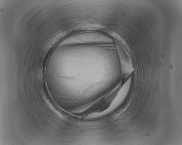 X0000062600581200601181606