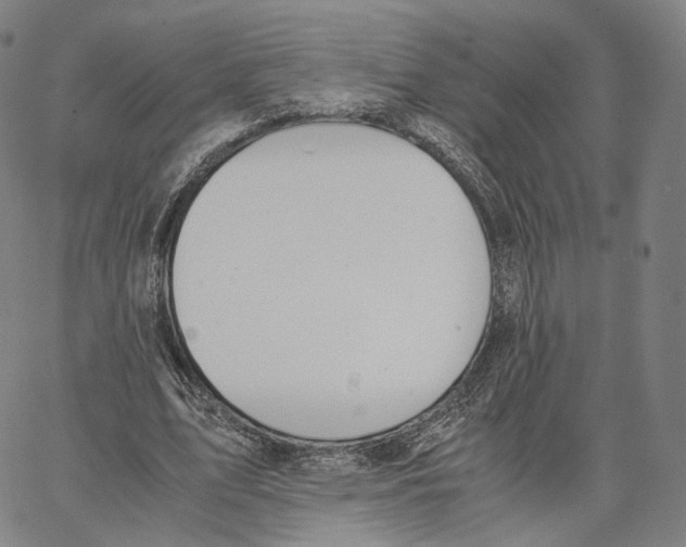 X0000062600583200601181606