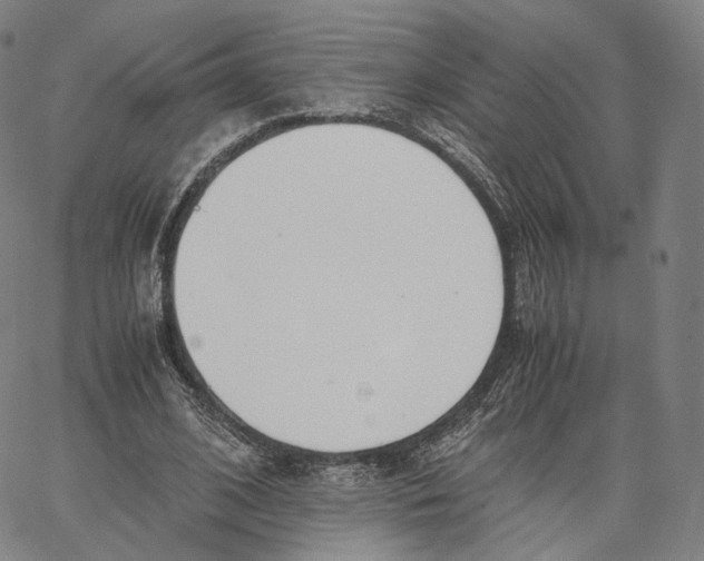 X0000062600584200601181606