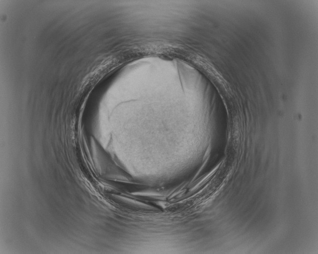 X0000062600585200601181606