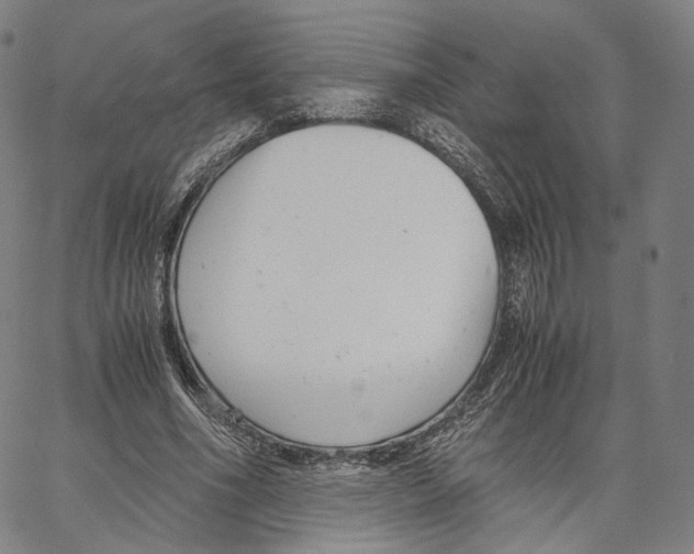 X0000062600586200601181606