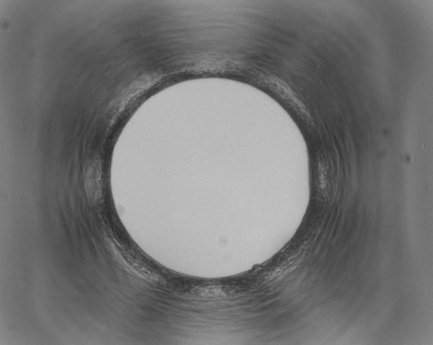 X0000062600588200601181606