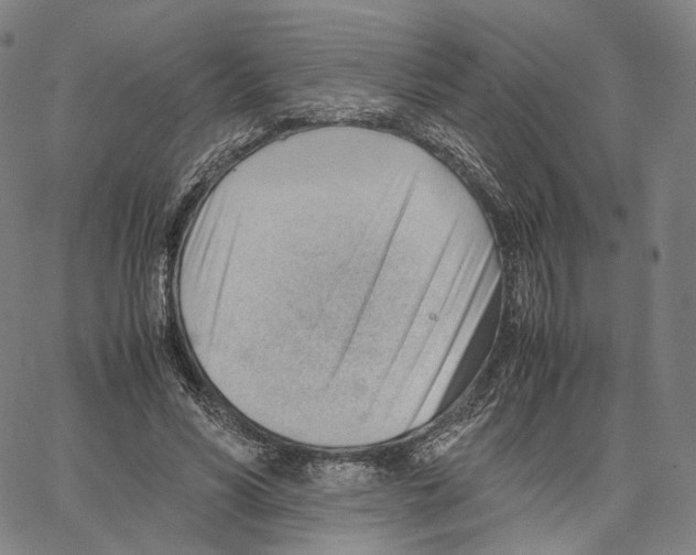X0000062600590200601181606