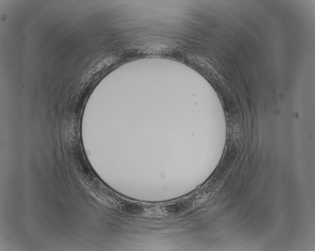 X0000062600591200601181606