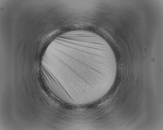 X0000062600593200601181606