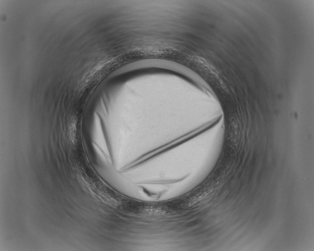 X0000062600596200601181606