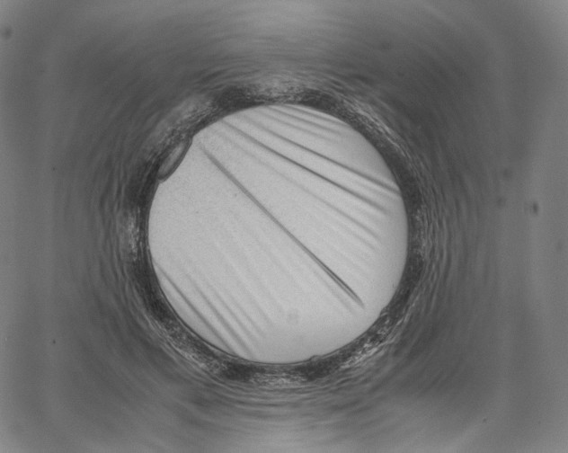 X0000062600597200601181606
