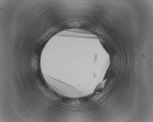 X0000062600600200601181606