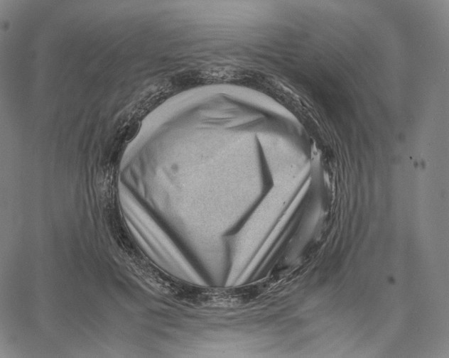 X0000062600601200601181606