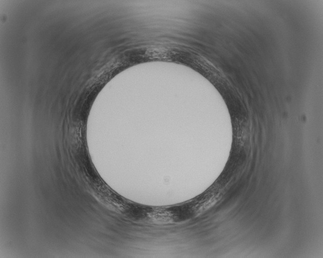 X0000062600603200601181606