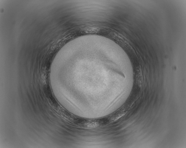 X0000062600604200601181606